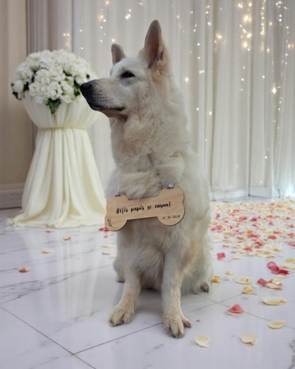 Placa Hueso Mis papis se casan BODAS PERSONALIZADAS LAS PALMAS CANARIAS QUE TIERNO MADERA GRABADO Y CORTE LASER